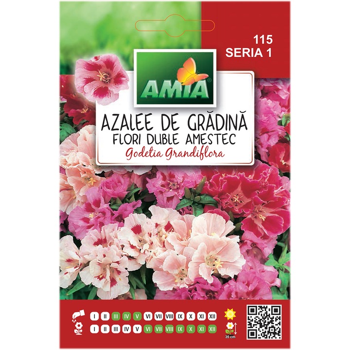 Семена за цветя Amia, Годеция, Различни цветове, 1 гр