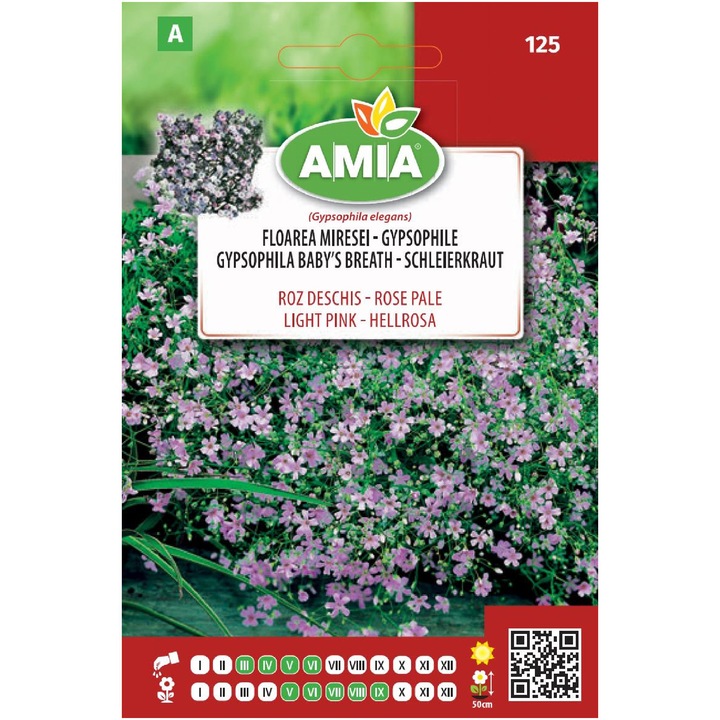 Seminte flori Amia, Floarea Miresei, Roz deschis, 3 g