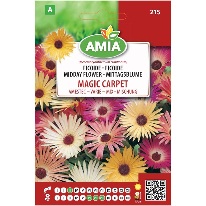 Seminte flori Amia, Ficoide Tapis Magique, Amestec culori, 1 g