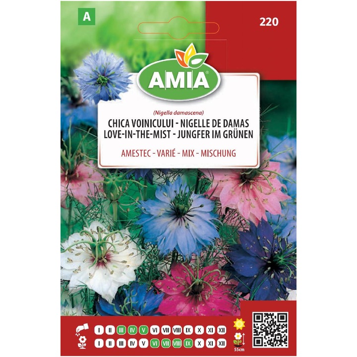 Seminte flori Amia, Chica Voinicului, Amestec culori, 4 g