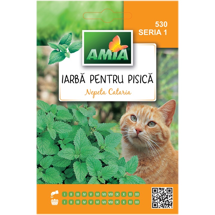 Seminte Amia, Iarba pentru pisica, 4 g