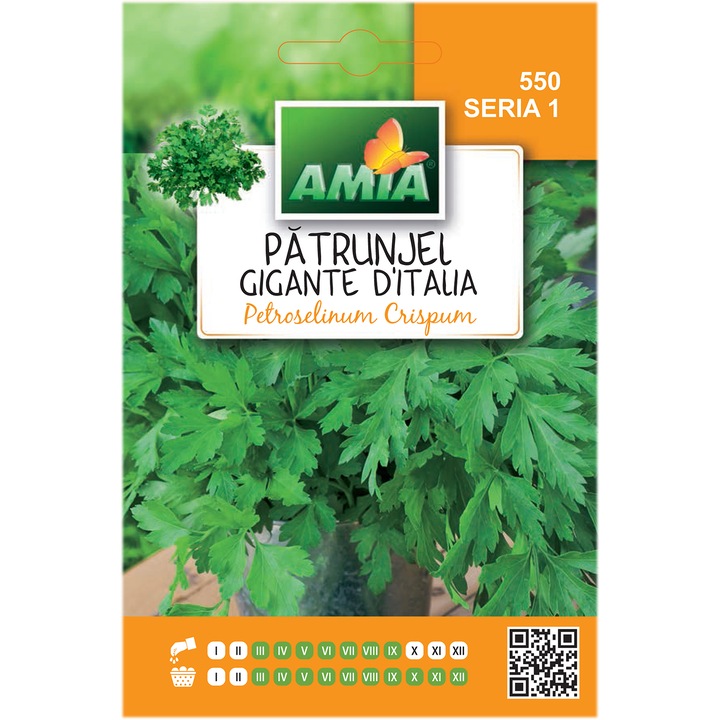 Patrunjel Amia, Geant d'Italie, 10 g
