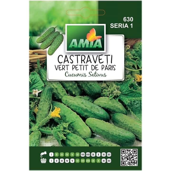 Seminte Amia, Cornison Vert Petit de Paris, 3 g