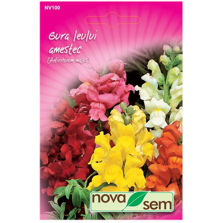 Семена за цветя Novasem, Кученце, 0.3 гр