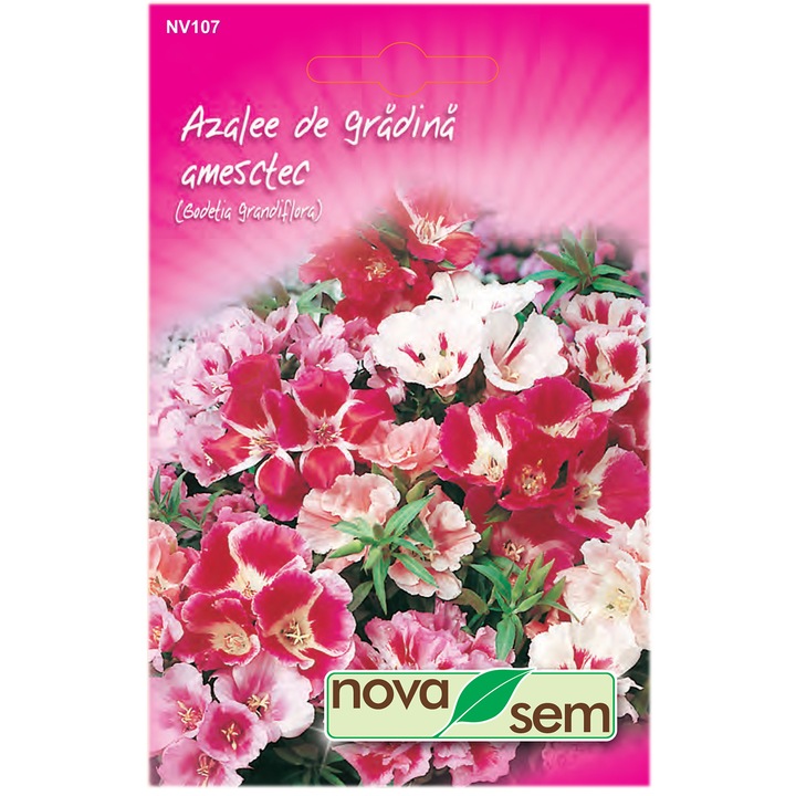 Seminte flori Novasem, Azalee de gradina, Amestec culori, 1 g