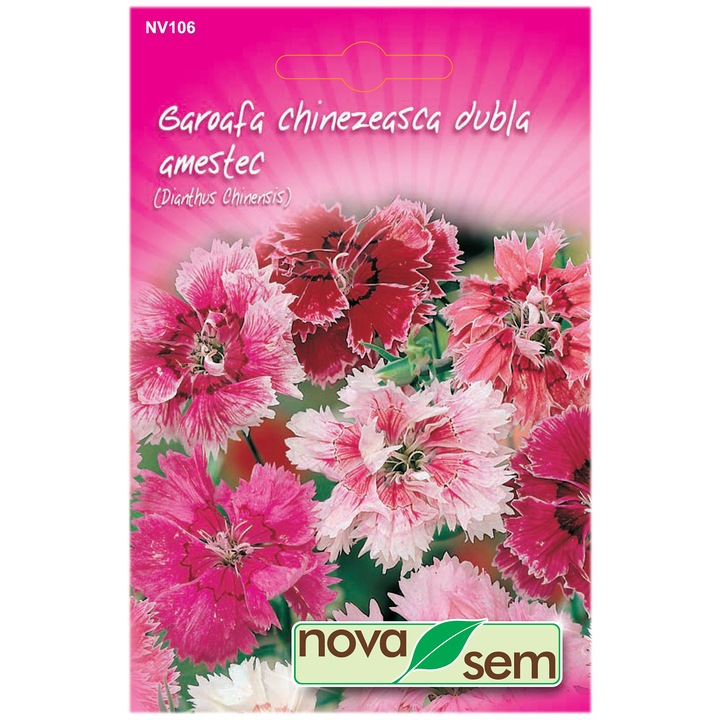 Seminte Novasem, Garoafe Chinezeasca, Amestec culori, 0.5 g