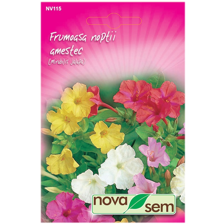 Seminte flori Novasem, Frumoasa Noptii, Amestec culori, 2.5 g