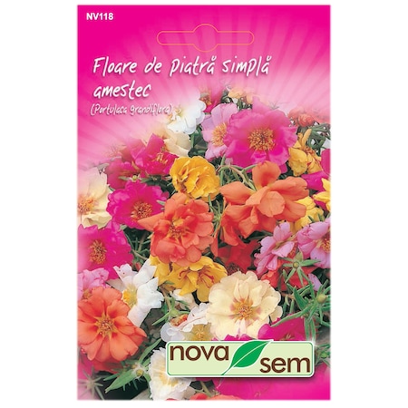 Seminte Flori Novasem Floare De Piatra Simpla Amestec Culori 0 1 G Emag Ro
