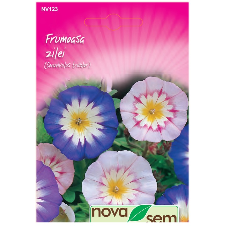 Seminte flori Novasem, Frumoasa Zilei, 2 g