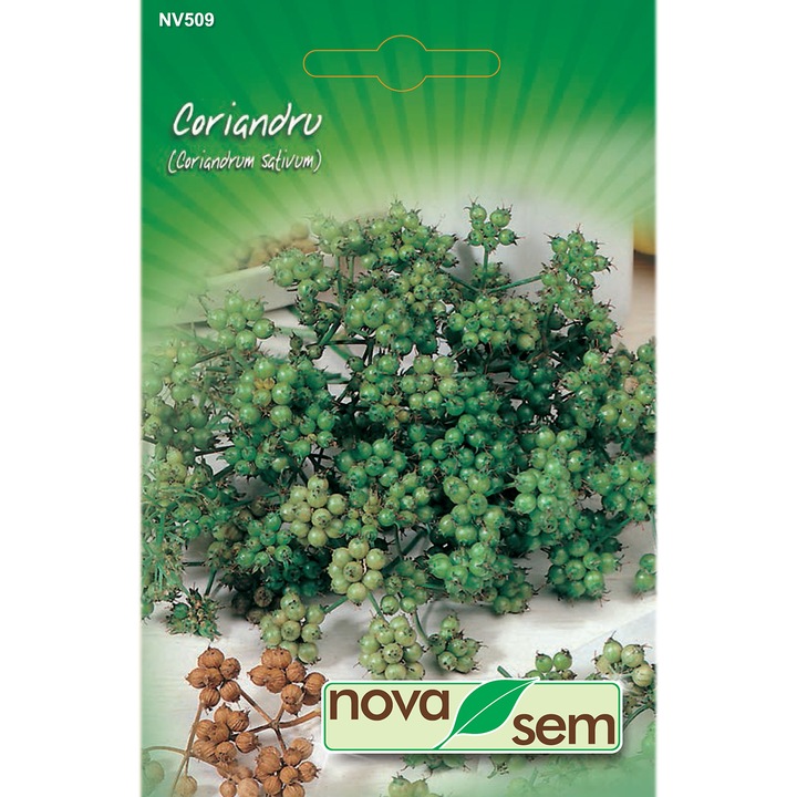 Seminte Novasem, Coriandru, 2 g