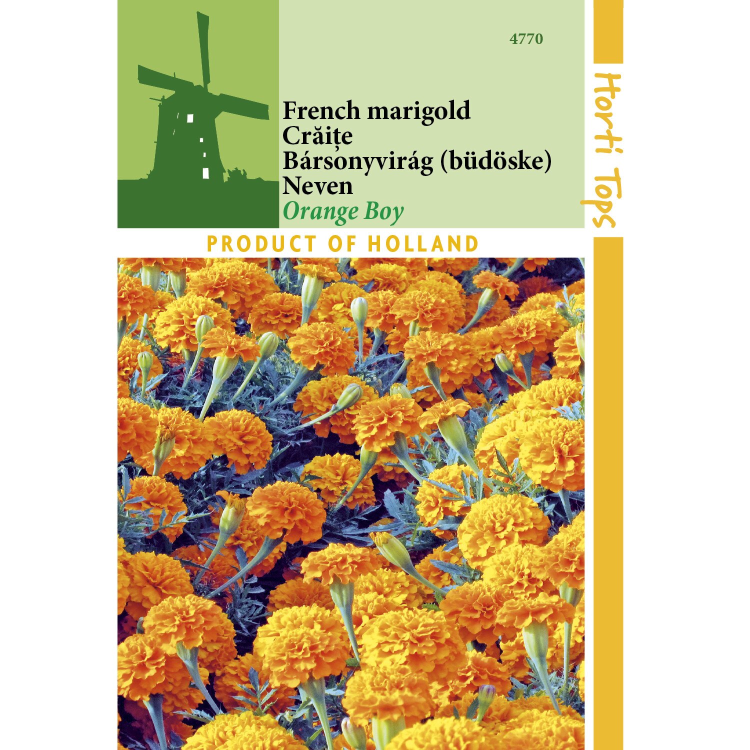 Seminte Tagetes Patula Nana Petit Orange - craite