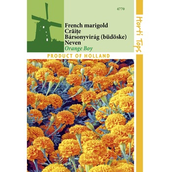 Seminte Tagetes Patula Nana Petit Orange - craite Seminte Tagetes Patula Nana Petit Orange - craite