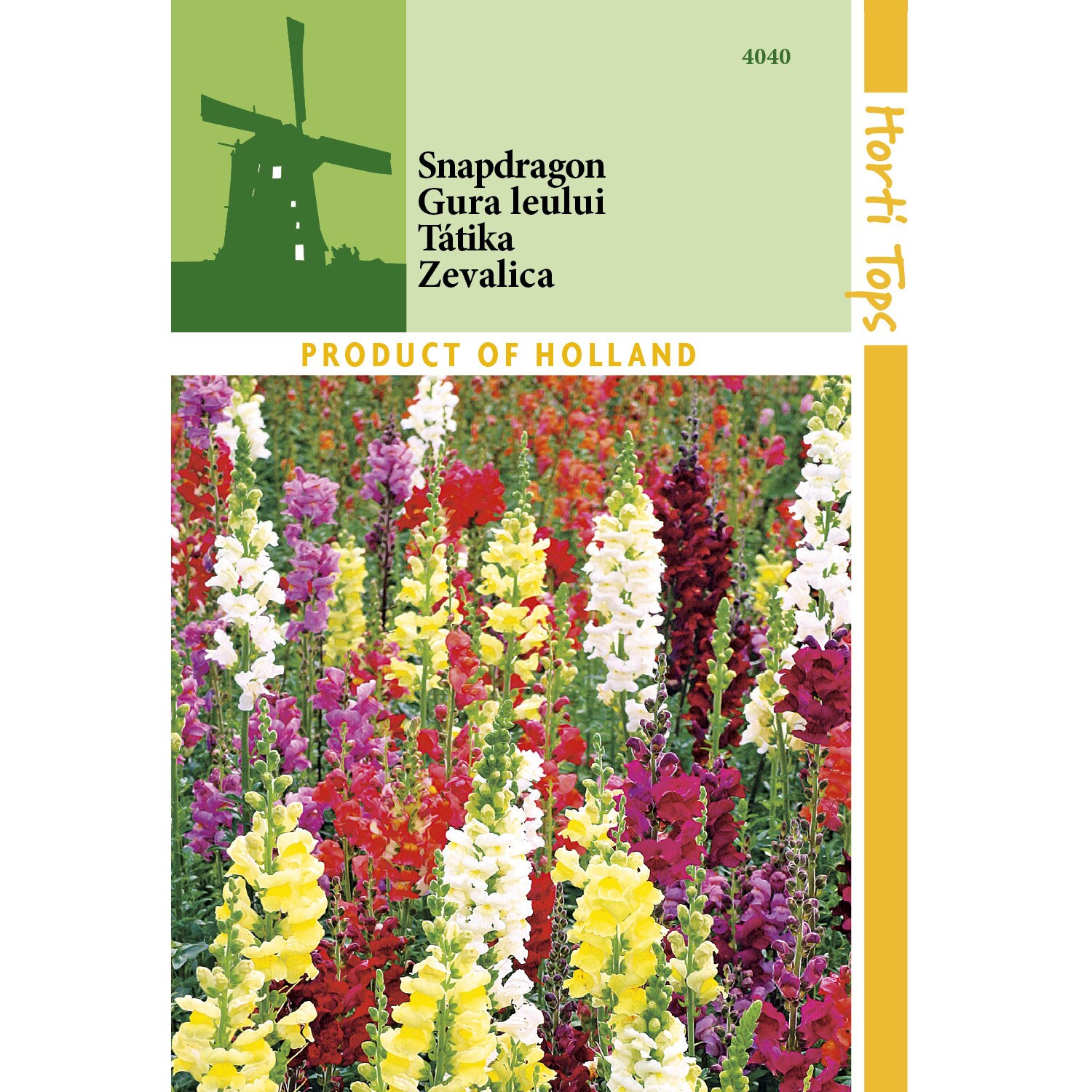 Seminte Antirrhinum Majus Maximum - gura leului