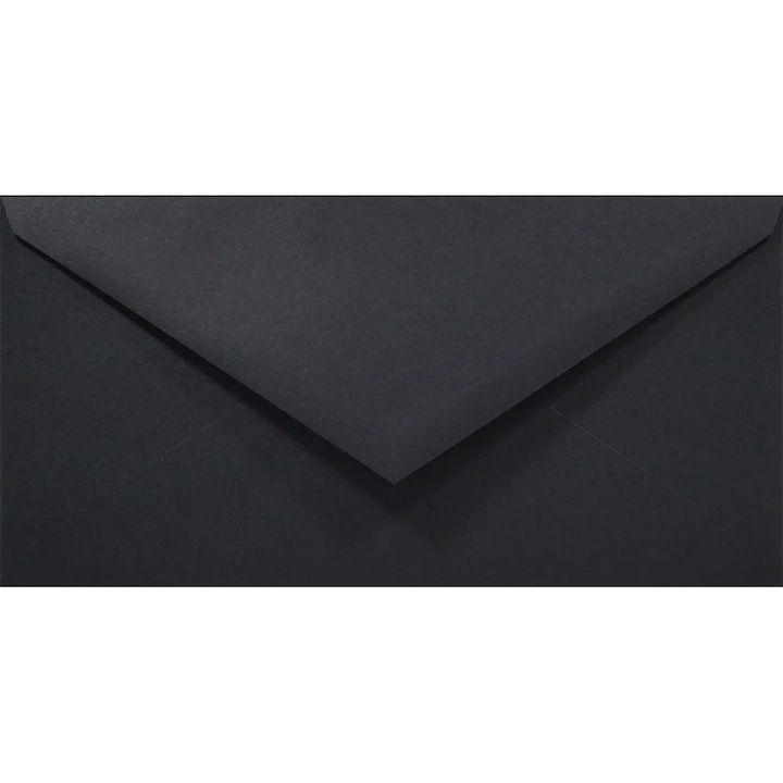 Set de plicuri decorative in culori, Netuno, Rainbow, DL, 110x220mm, Lipire umeda, V-tip, 80g/m2, Hartie, negru, 100 buc