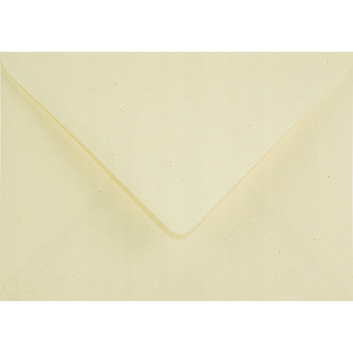 25 db-os ökológiai dekoratív boríték készlet B6, 12,5x17,5 Woodstock Birch ekrü, 110g