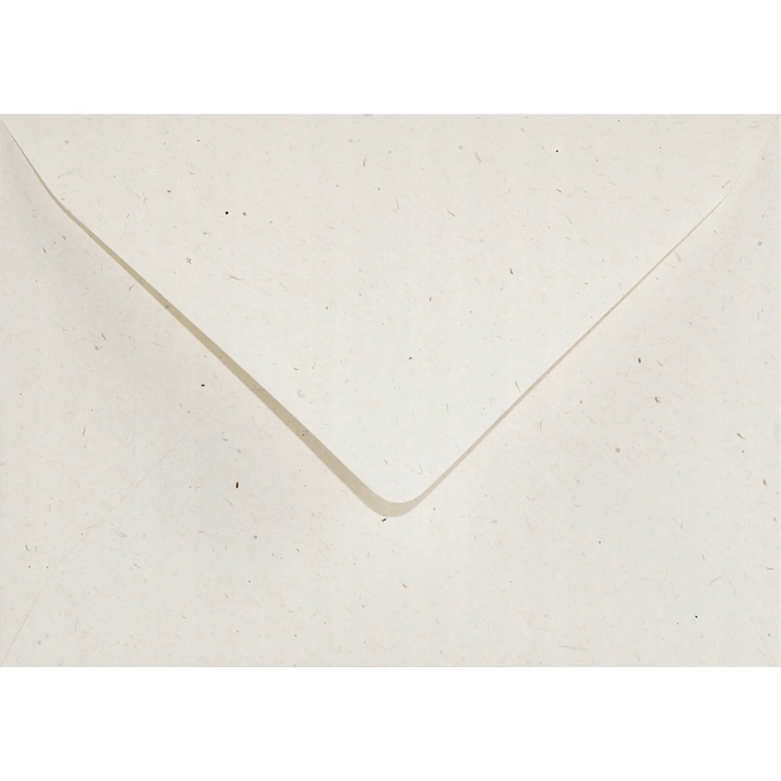 Set de plicuri decorative, Netuno, Flora, B6, 120x180mm, Lipire umeda, V-tip, ecologica, 130g/m2, Hartie, ecru, 100 buc