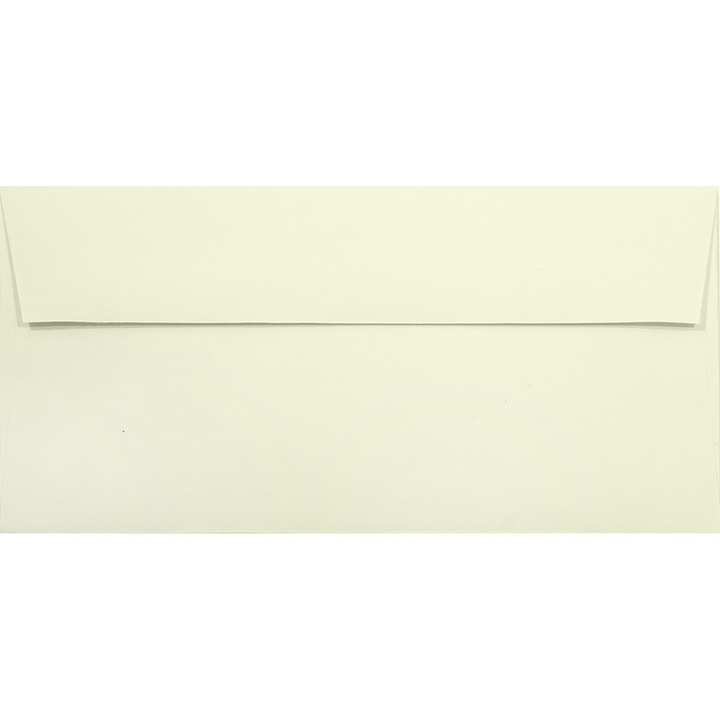 Set de plicuri decorative, Netuno, Acquerello, DL, 110x220mm, Banda detasabila, 120g/m2, Hartie, ecru, 500 buc