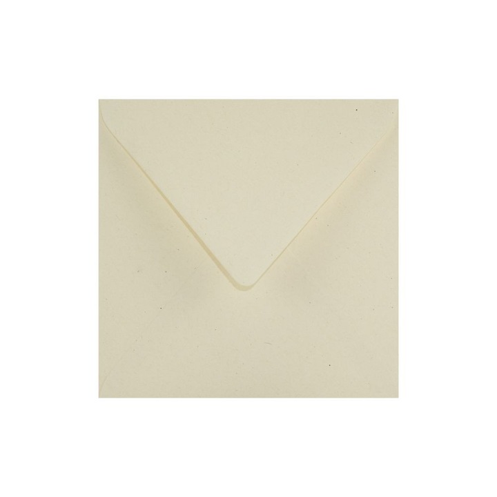 Set de plicuri decorative in culori patrate, Netuno, Woodstock, K4, 153x153mm, Lipire umeda, V-tip, ecologica, 110g/m2, Hartie, ecru, 100 buc