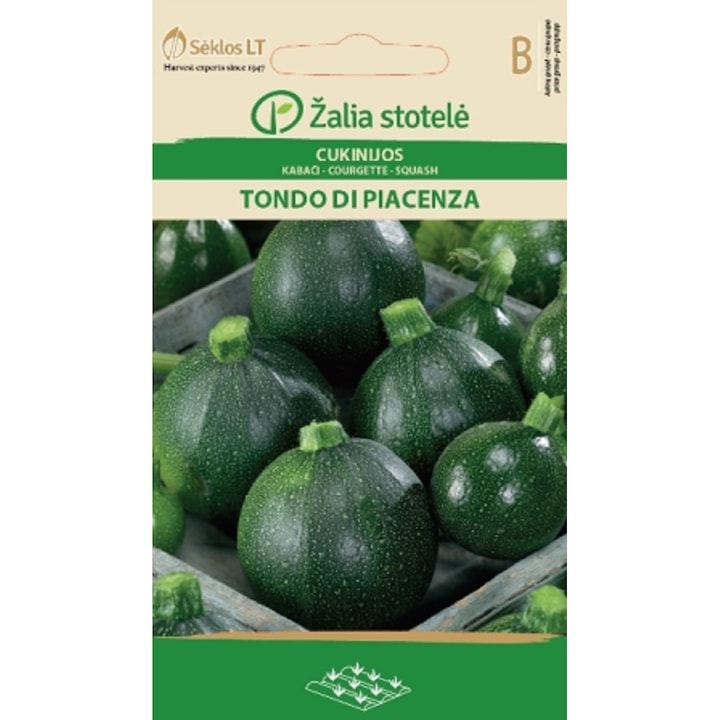 Seminte, Dovlecel Tondo di Piacenza, Žalia Stotelė, plic, 1.5 grame