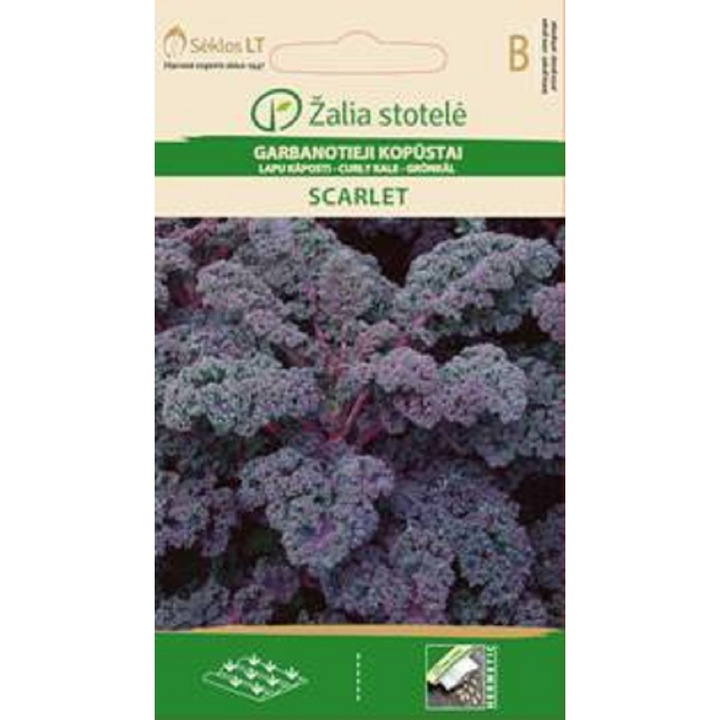 Seminte, Varza Curly Kale Scarlet, Žalia Stotelė, plic, 0.5 grame