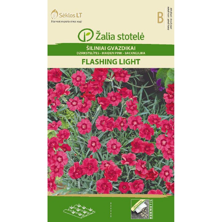 Seminte, Garoafa Pink Maiden Flashing Light, Žalia Stotelė, plic, 0.3 grame