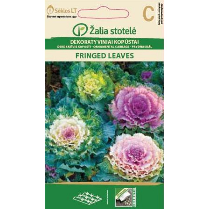 Seminte, Varza Ornamentala Fringed Leaves Mix, Žalia Stotelė, plic, 0.3 grame