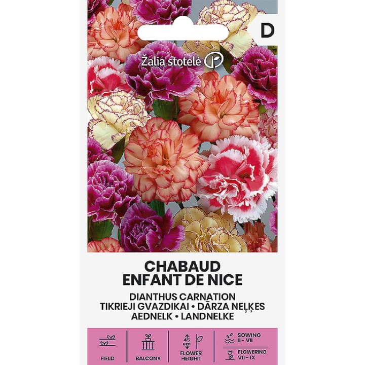 Seminte, Garoafa Chabaud Enfant de Nice, Žalia Stotelė, plic, 1 gram