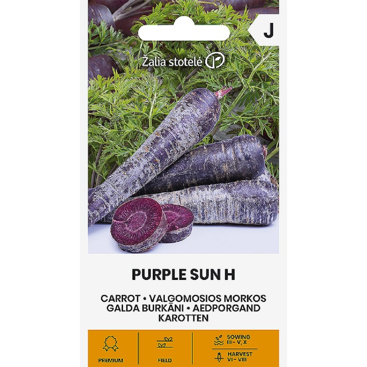 Seminte, Morcovi Purple Sun H, Žalia Stotelė, plic, 0.5 grame