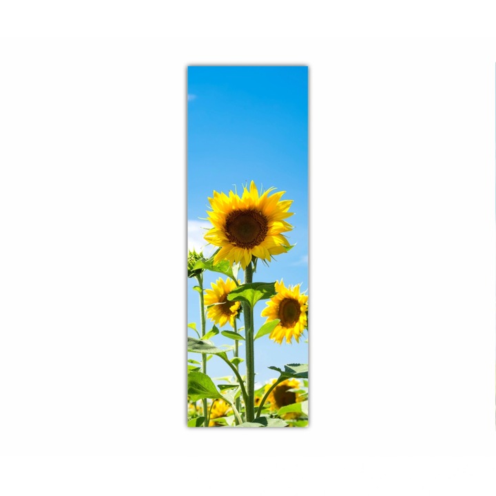 Vászonfestmény, 1 db, Napraforgó 4 0081, UV nyomat PREMIUM COTTON vászonra és fa keretre feszítve, 40X120 cm