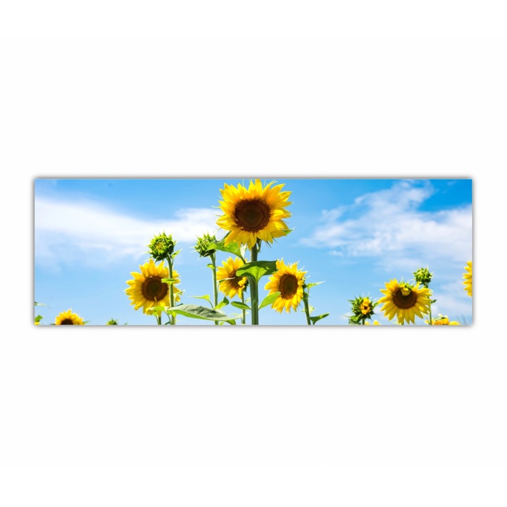 Tablou Canvas, 1 piesa, Floarea soarelui 4 0081, Tipar UV pe panza PREMIUM din BUMBAC (400 g.mp) si intins pe sasiu din lemn, Profil 2X3.6cm, 90X30 cm