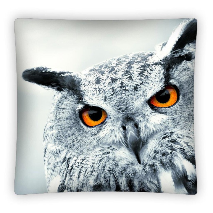 Husa perna decorativa pentru copii Detexpol, Model bufnita, Poliester, 40x40 cm, Gri