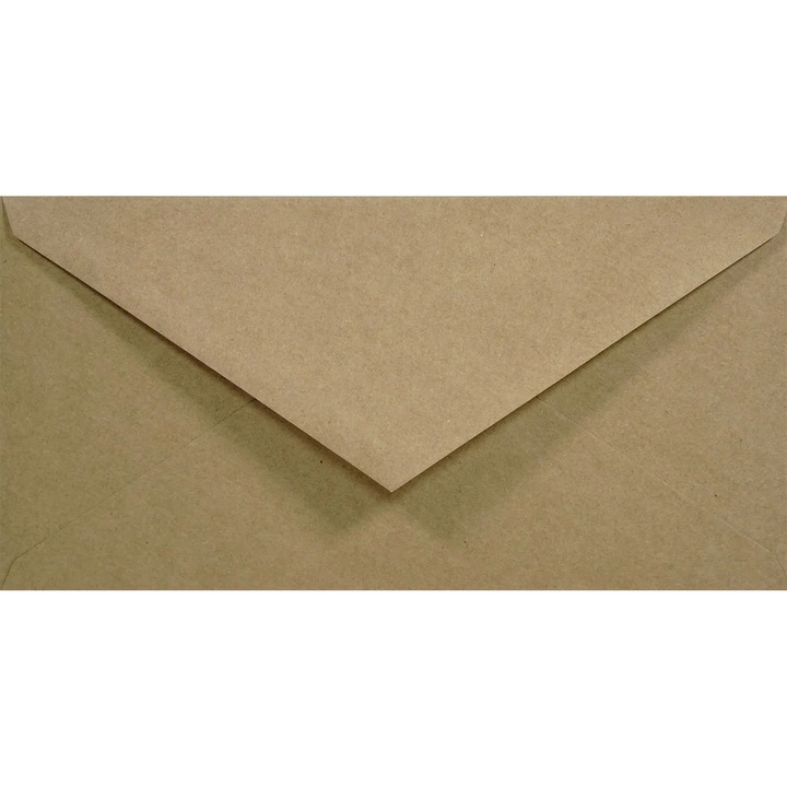 Set de plicuri decorative, Netuno, EKO Kraft, DL, 110x220mm, Lipire umeda, V-tip, ecologica, 100g/m2, Hartie, maro, 500 buc