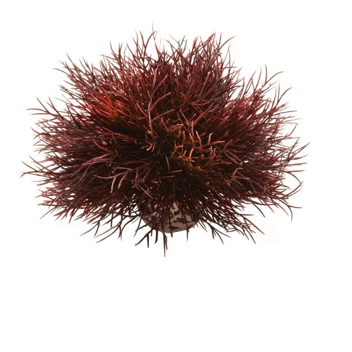 Decoratiune Biorb pentru acvariu crin purpuriu