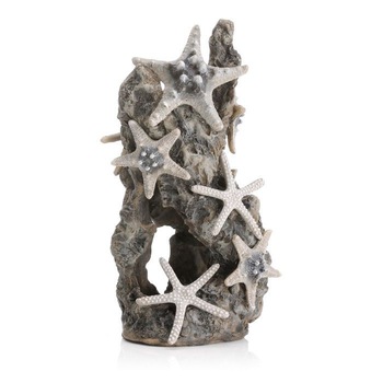 Ornament roca acoperita cu stelute de mare Ornament roca acoperita cu stelute de mare
