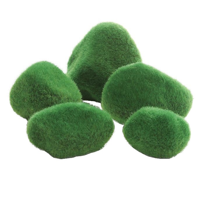 Ornament pentru acvariu Biorb set (5 pietricele acoperite de muschi)