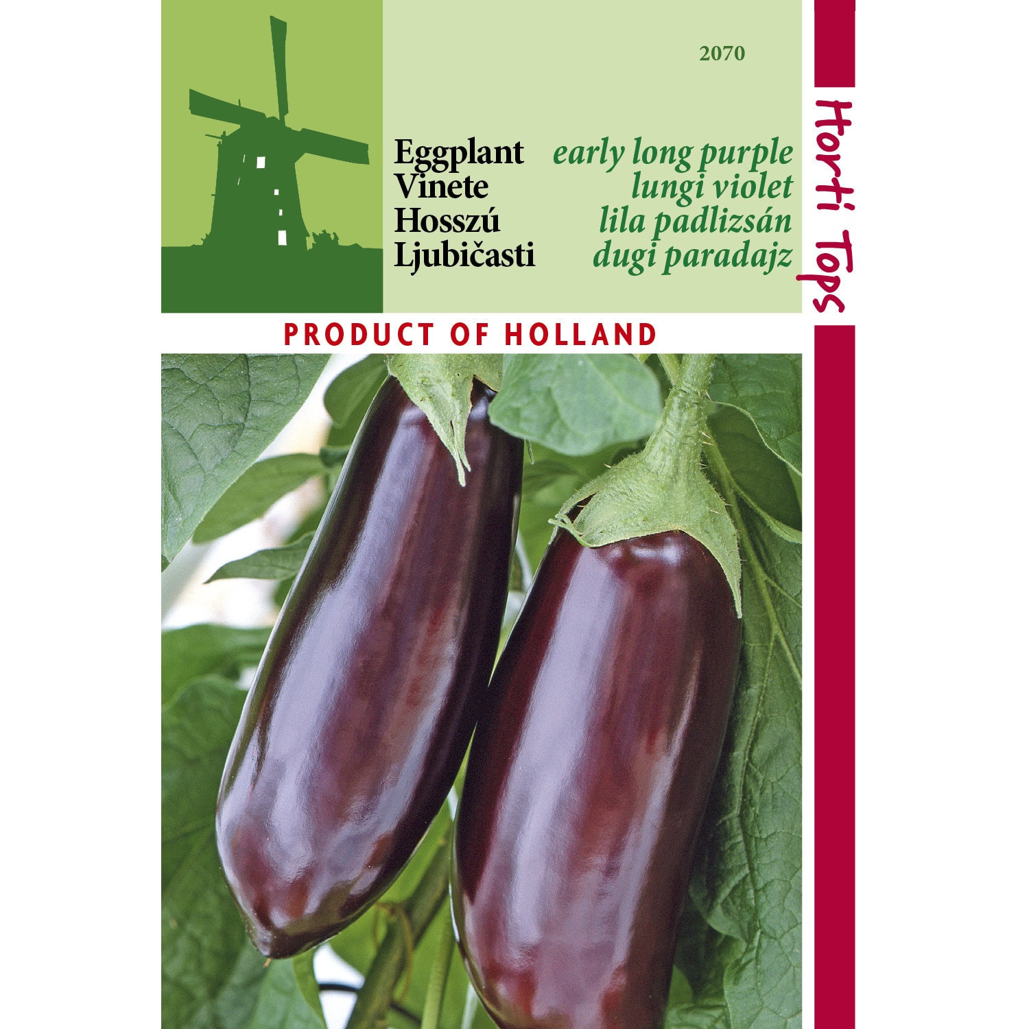 Seminte vinete Halflange Violette 1g