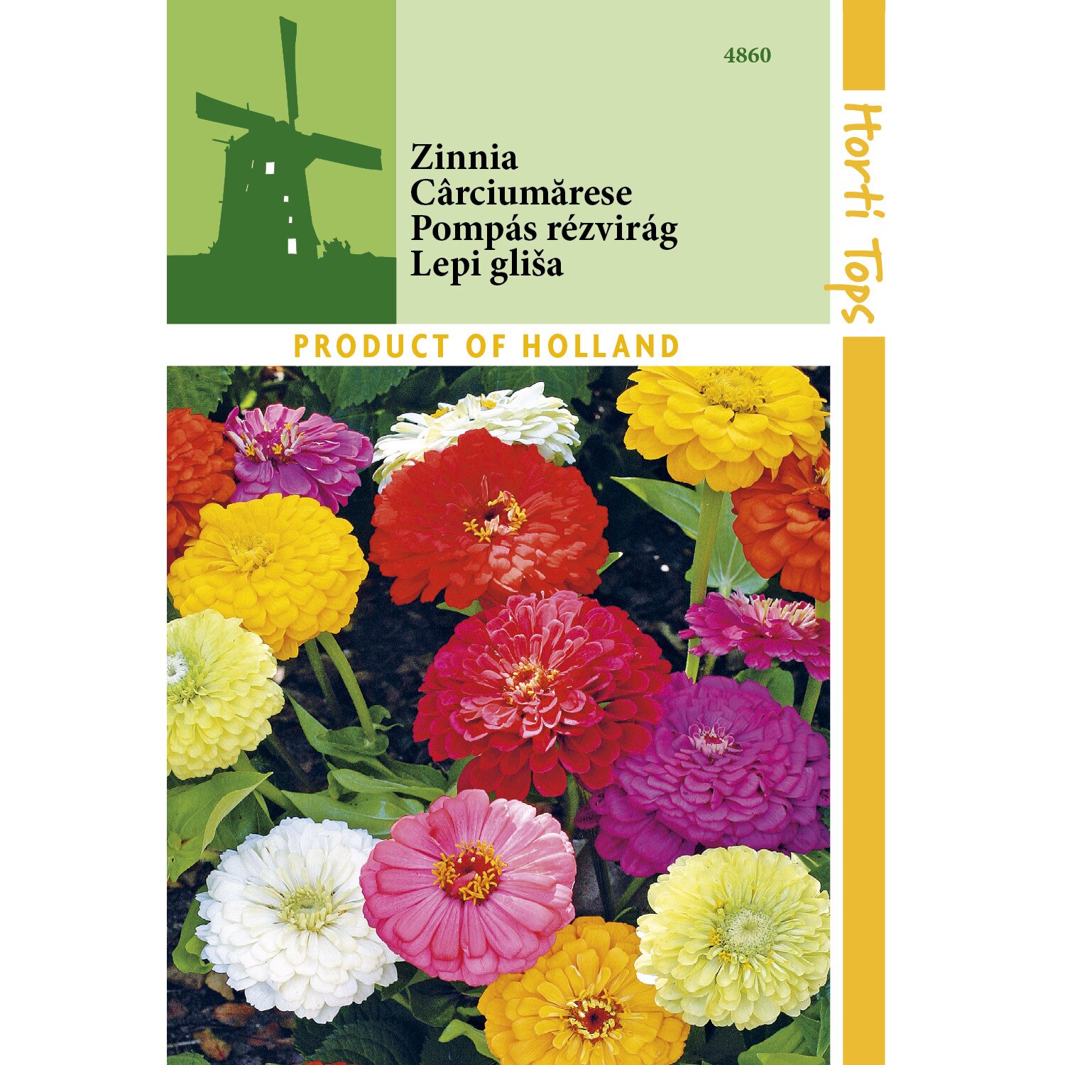 Seminte Zinnia Dahlia - carciumarese