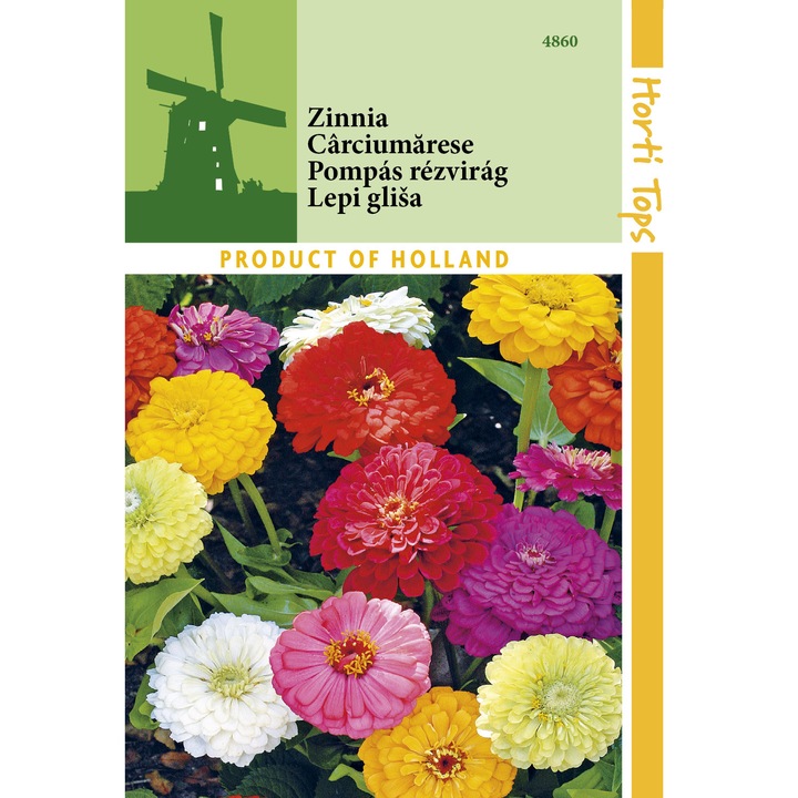 Seminte Zinnia Dahlia - carciumarese