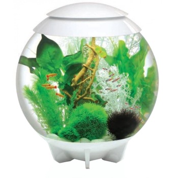Acvariu BiOrb HALO 15 (cu sistem de iluminare MCR si cadru alb) Acvariu BiOrb HALO 15 (cu sistem de iluminare MCR si cadru alb)