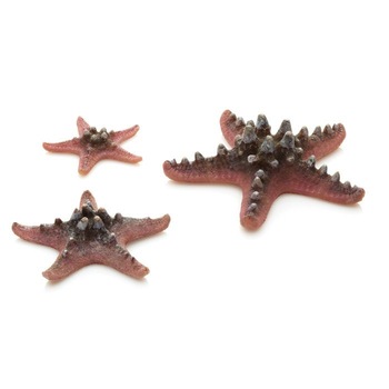 Set decorativ Biorb pentru acvariu 3 stelute de mare -roz Set decorativ Biorb pentru acvariu 3 stelute de mare -roz
