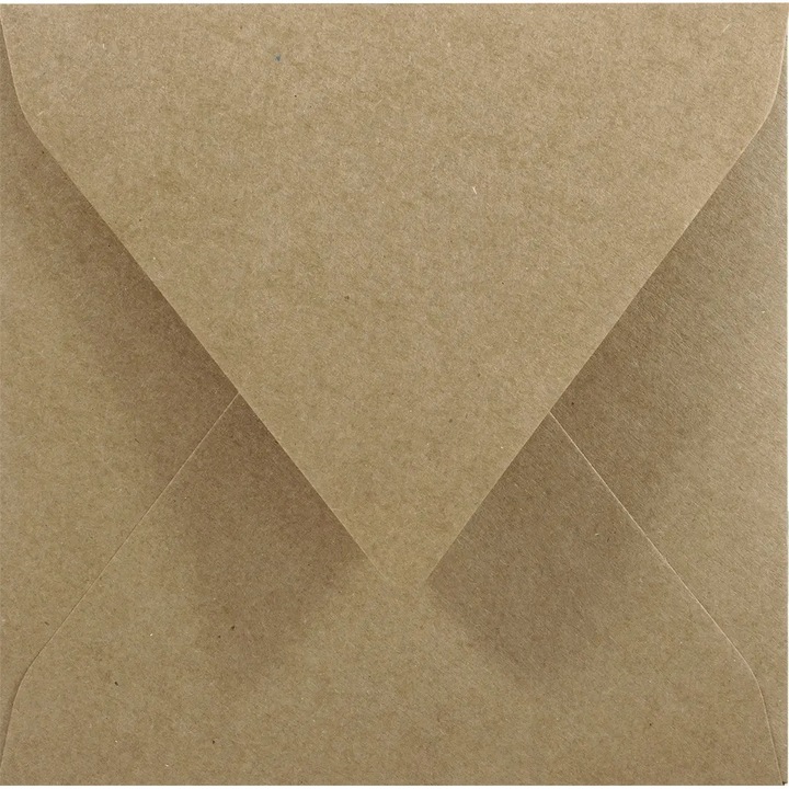 Set de plicuri decorative patrate, Netuno, EKO Kraft, K4, 145x145mm, Lipire umeda, V-tip, ecologica, 100g/m2, Hartie, maro, 25 buc