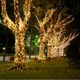 Instalatie De Craciun LED EDAR, Liniara Interior/Exterior, Rola 20m, 300 De Becuri, Alb Cald