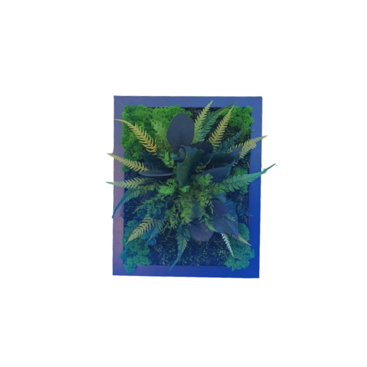 Tablou cu muschi, licheni si plante stabilizate Jungle Green, 28 x 23 cm