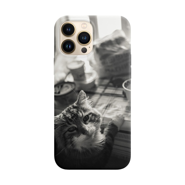 Husa compatibila cu Apple iPhone 14 Pro Max model Dinner time, Silicon, TPU, Viceversa