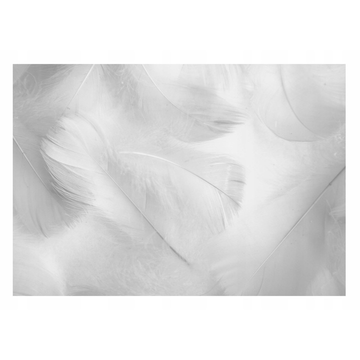 Fototapet Pene Gri 3D 254x184 cm, Modern Vlies Tapet, Camera De Zi Living