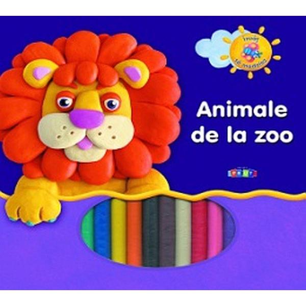 Invat sa modelez. Animale de la Zoo
