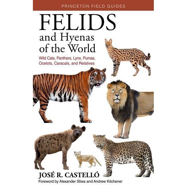 Jose R Castello Felids and Hyenas of the World - José R. Castelló - eMAG.bg