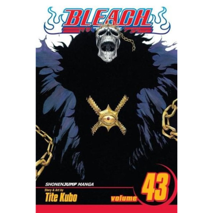 Bleach Vol. 43 - Kingdom of Hollows - Tite Kubo