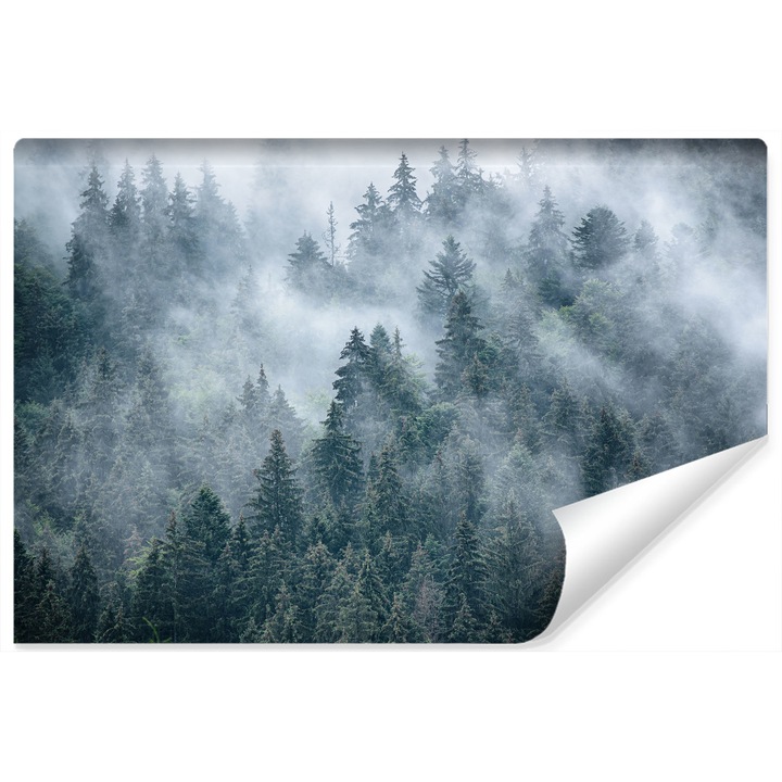 Фототапет за спалня, планини, гора в мъгла 3D 300 x 210 см Vlies, Природен пейзаж, Креативна декорация