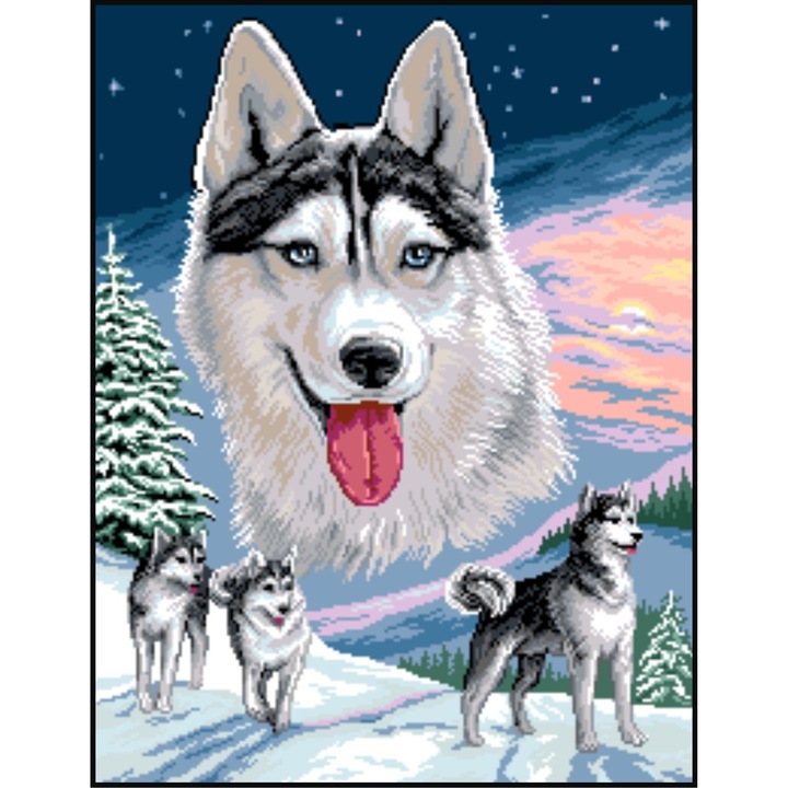 Nopti albe - kit goblen cu diagrama color